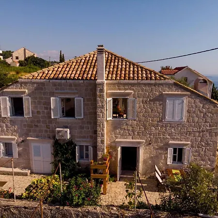 Olive Tree Vila *