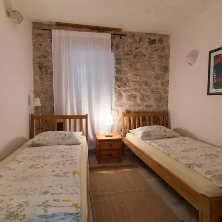 Vila Olive Tree *
